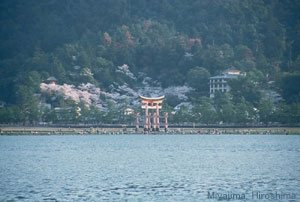 Itsukushimi jinja shrine, Miyajima, Hiroshima