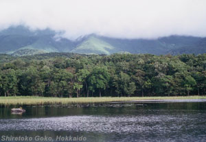 Shiretoko Goko