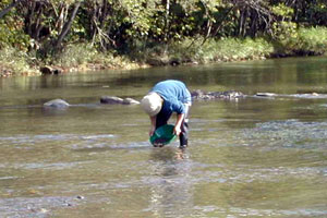 Placer Gold, Hokkaido