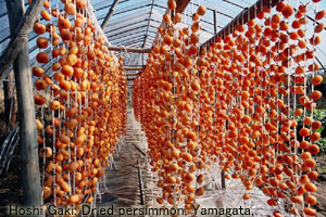 drying persimmons, Yamagata