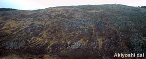 akiyoshidai.jpg