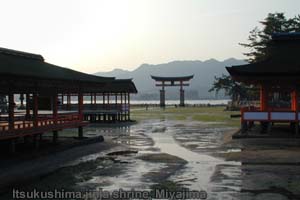 miyajima.jpg