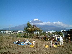 Fuji from fujinomiya