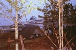 camping at the ogi port